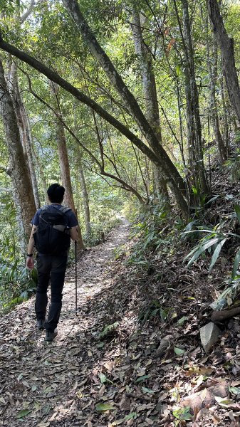 崩潰陡上的水雲三星～鳥嘴山（上島山）2095268