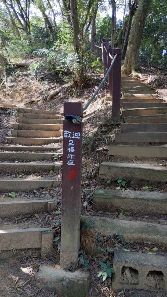 20230120_三峽_鳶山登山步道_五十分山2001587