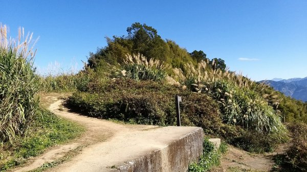 220116-雲嘉大尖山、二尖山、山豬湖 - 小O繞1653875