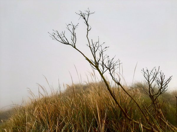 冬日。靜謐夢幻湖、大草原798126