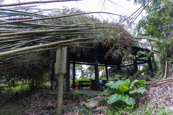 [台南]崁頭山2848478