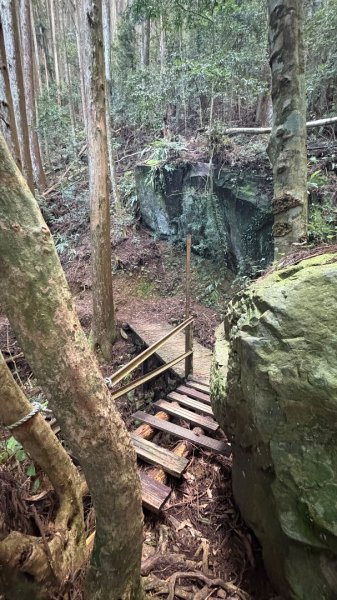 加里山東南峰2845051