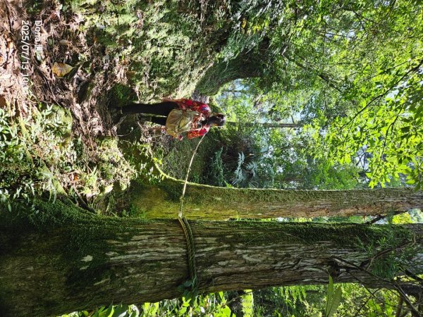 【菁桐】巡山東勢格古道全段加碼臭頭山2848025