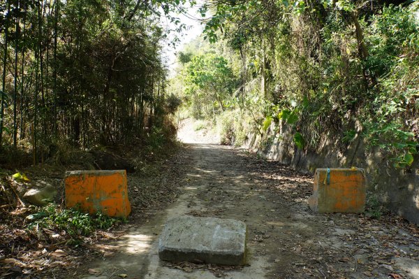 苗栗 卓蘭 白布帆山2967906