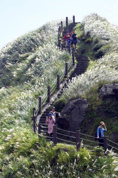 陽明山縱走東段（大崎頭至苗圃）515147