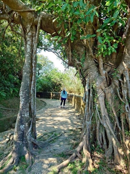 基隆小百岳：大武崙山#03 紅淡山#07 槓子寮山#04 逛吃瑞芳老街2916349
