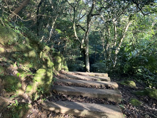 [山頂鳥40周年會員大縱走-08/15] 2024_0715 銀河洞越嶺登山步道2556761