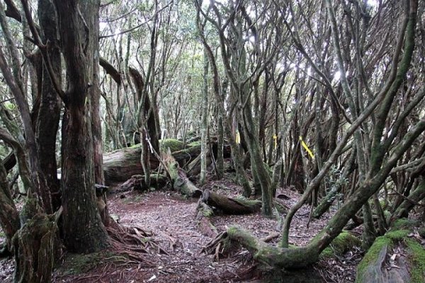 【中廣新聞網】來去趴趴走－變臉步道