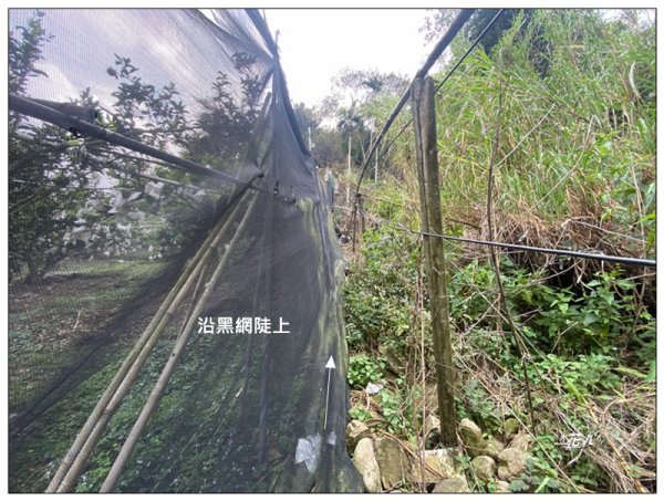 唐麻丹山西北峰 (基石找到了)3025418