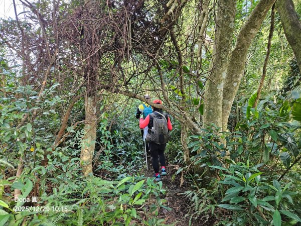 20251229石龜坑山上白石山下白石埤O走+阿姆坪2976666