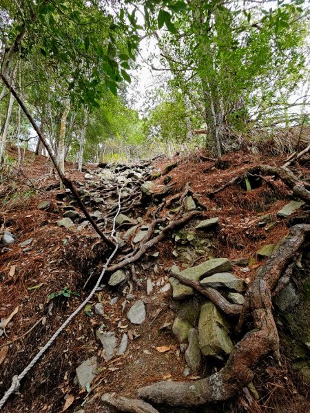 波津加山-谷關七雄(老四)3015174