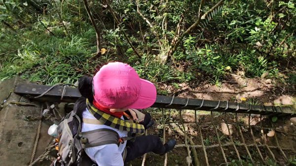 望古瀑布~嶺腳瀑布+深坑美食.阿柔洋.貓空2858428