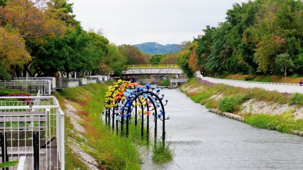 葫蘆墩公園,南觀音山,聚興山2676887