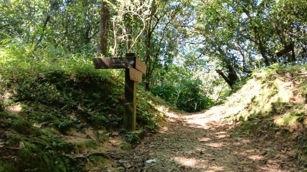 雙溪瑞芳區三貂嶺車站-幼坑古道-魚寮山-頂坑山-大煙囪-尪子崙坑-牡丹車站3128496