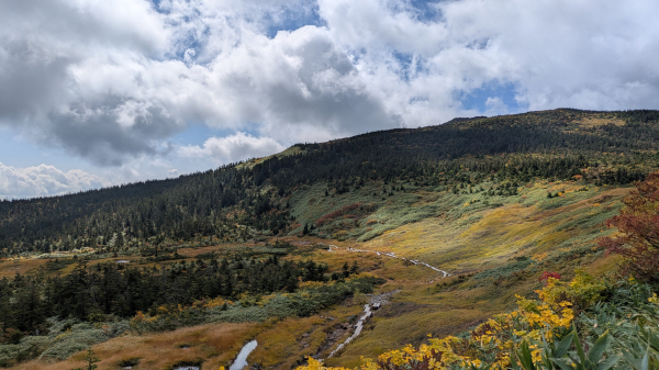 一路黃黃綠綠的楓紅之日本百名山-西吾妻山