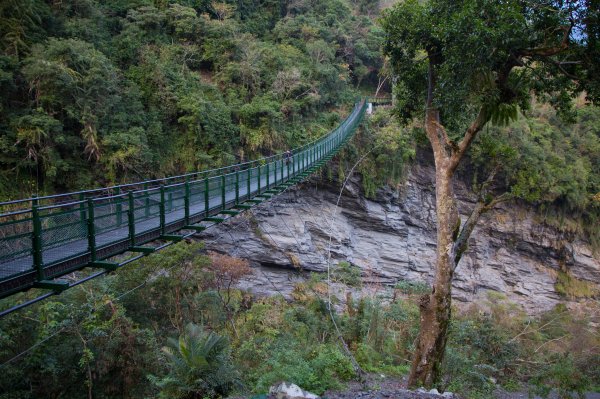 【花蓮】瓦拉米步道春遊823357