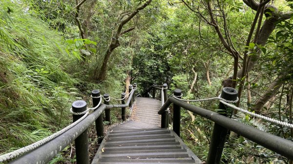 2024觀音觀鷹全7線| Mt. Guanyin |皇蛾|峯花雪月2504725