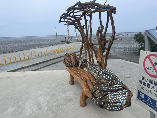 芳苑濕地紅樹林海空步道2766456