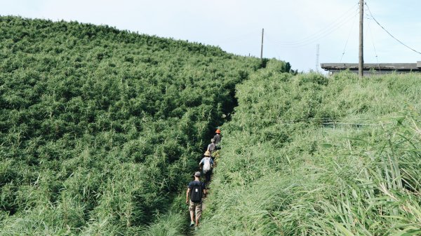 大屯山O型|一起來走陽明山縱走西段1004999