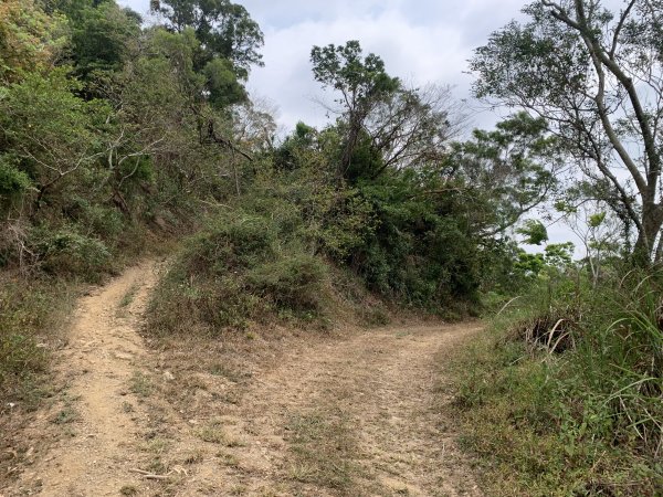 20250404屏東北獅子頭山-霧里乙山2757415