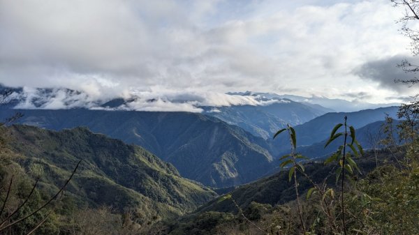 李崠山2038225