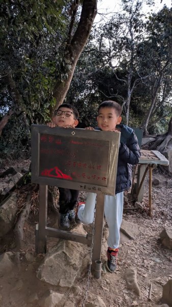 暗影山2046459