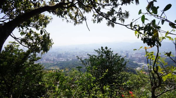 大棟山之縱302471