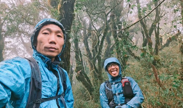 茶仁山單攻2025年4月4日2753366