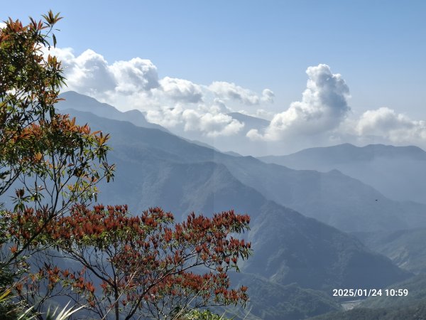 2025.01.24~26 北大武山 三天兩夜〈雲海、夕陽、檜木、鐵杉、藍天...〉2700319
