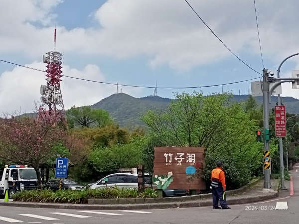 【發現陽明山】頂北投→陽峰古道→陽明山花鐘→陽明書屋→紫明溪步道→竹子湖海芋季2463813
