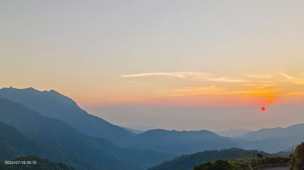 雲山水花鳥蝶 - 天龍國阿伯的日常7/18 & 21、22、292553981