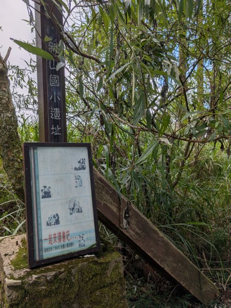 孕婦第一次的谷關七雄馬崙山2991631