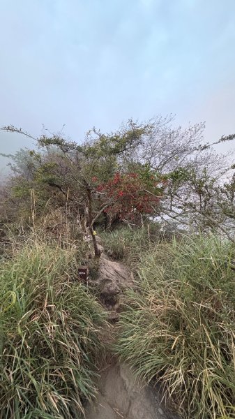 再見加里山2961842