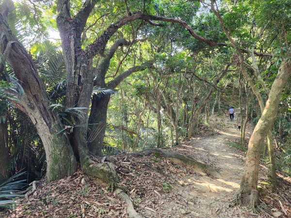 小百岳No.42⛰南觀音山2924860