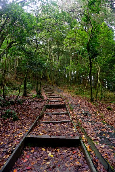 檜山巨木森林步道481570