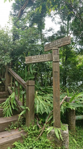 20180901新店獅仔頭隘勇線登山步道416102