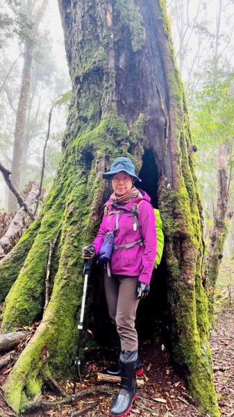 🌈4/13（日）（三）魔法森林-塔曼山~FB：熊熊趴爬走🌈2761318