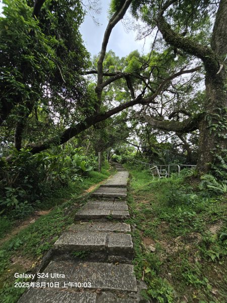 2025-08-10臺北大縱走第六段：中華科技大學至捷運麟光站2856577