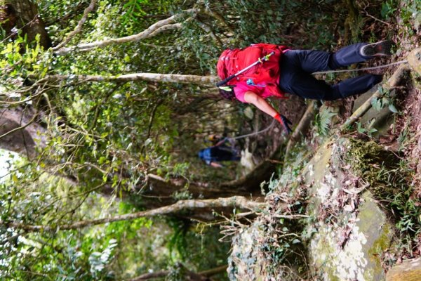 三腳南山、難山傻傻分不清楚1241007