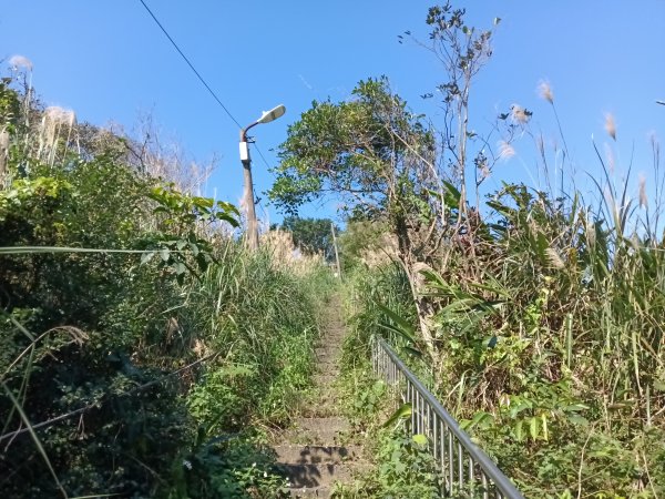 基隆市曾子寮山+大德山+摩天嶺+九華山+龍鳳山+火號山+球子山燈塔+白米甕砲台+白米甕尖+基隆燈塔3006510