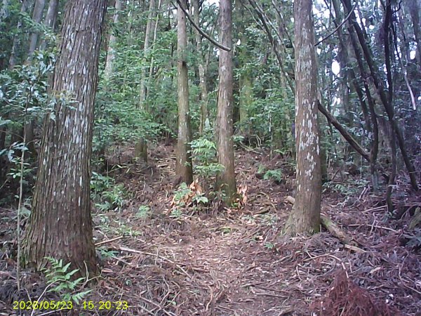 二萬平火車站附近的「屏遮那山」3061536
