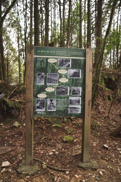 八仙山-夏日避暑好所在631699