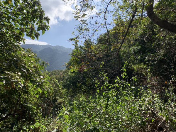 20250315屏東頭崙山-頭崙山西北峰2737223