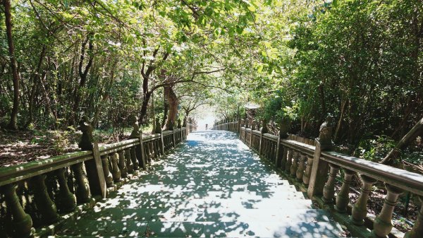 台北健行｜金面山縱走鯉魚山：大岩壁攀爬與山林驚喜3118504