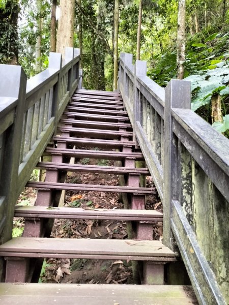 五指山登山步道2269241