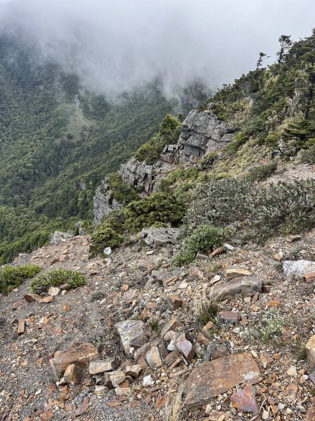 聖稜線I 2023_0526(D4-3) 巴紗拉雲山2166633