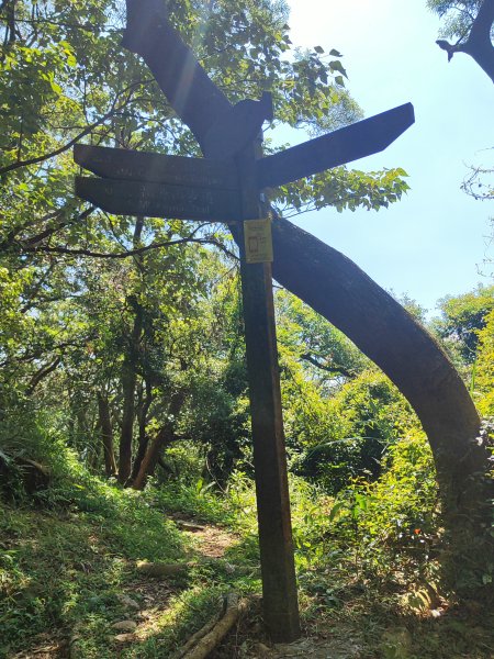 微笑山線：【大棟山系】百年大榕樹段2868469