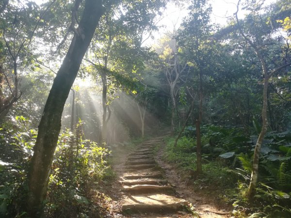 土城清水大尖山/朱財華紀念步道834009