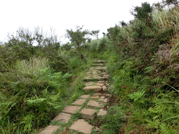 魚路古道．擎天崗．竹篙山94438