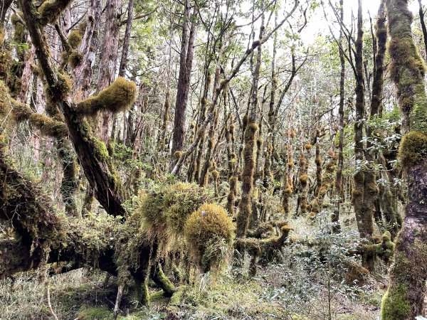 魔幻森林三星山與三星池1658333